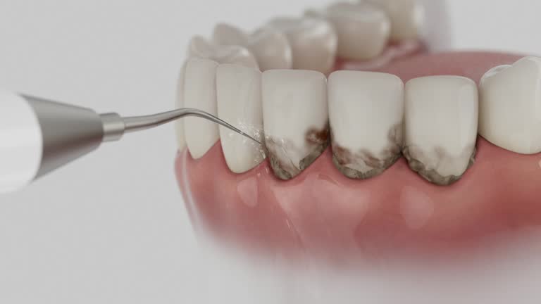 Reliable Dental contractor in Grant, MI by Dentist Open Now
